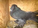 IMG-20140610-00271