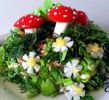 salata" Forest Fairy Tale"