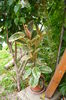 P1030250