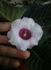 IMG-20140708-WA0004