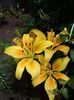 IMG_20140709_141344