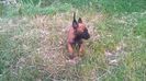 WP_20140708_014