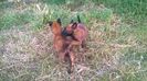 WP_20140708_015