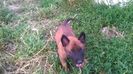 WP_20140708_020