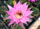 DSC07349