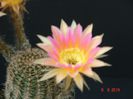 DSC07507