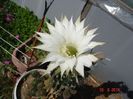 DSC07562