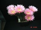 DSC07640