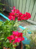 DSCN6604