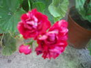 DSCN6610
