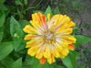 DSCN6683