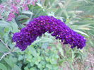 DSCN6687