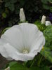 DSCN6708