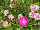 DSCN6720