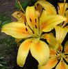IMG_20140709_141340-002