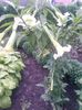 20140709_203400 - Copie (2)