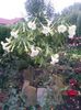 20140709_203423 - Copie (2)