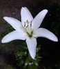 IMG_20140709_141411