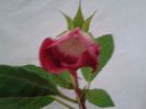20140709_182416