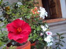 DSC00005