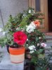 DSC00019