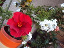 DSC00078