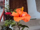 DSC09332
