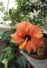 DSC09078