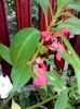 IMG_20140709_091430