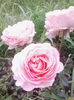 IMG_20140709_075506