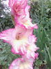 IMG_20140709_075345