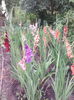 IMG_20140709_075319