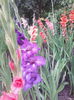 IMG_20140709_075306