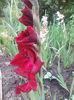 IMG_20140709_075259