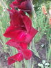 IMG_20140709_075255