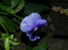 DSCN0395