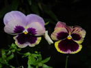 DSCN0396