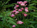 DSCN0424