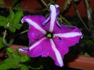 DSCN6945
