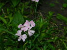 DSCN6957