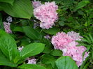 DSCN6966