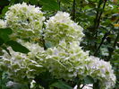 DSCN6968
