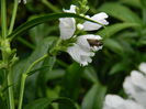 DSCN7039