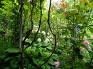 DSCN7047