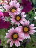 IMG_20140710_142831