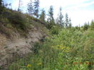 Loc de pasunat-4