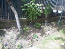 20140701_123804