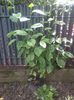 20140619_162703