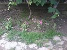 20140701_123754
