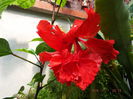 DSCF9365